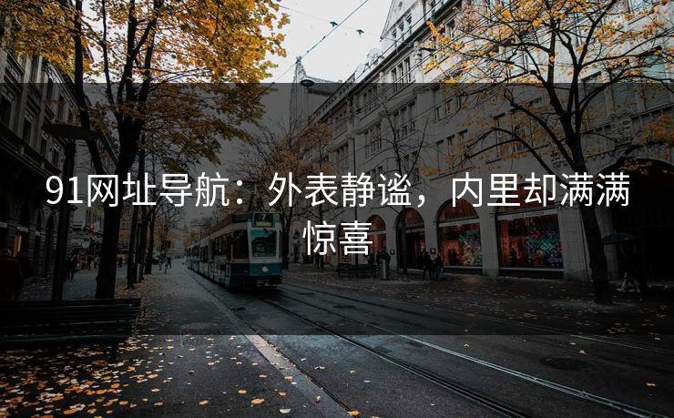 91网址导航：外表静谧，内里却满满惊喜