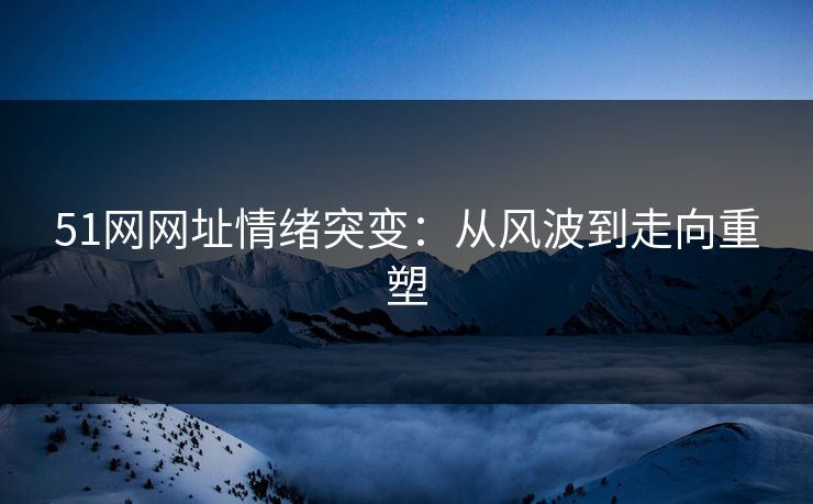 51网网址情绪突变：从风波到走向重塑