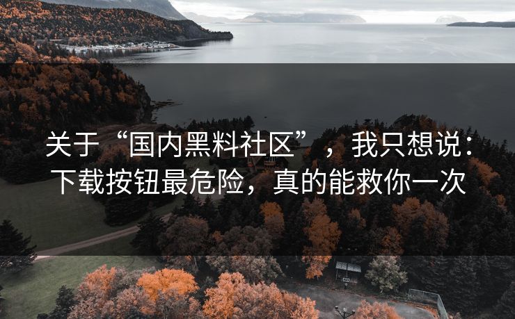 关于“国内黑料社区”,我只想说:下载按钮最危险,真的能救你一次 关于“国内黑料社区”,我只想说:下载按钮最危险,真的能救你一次